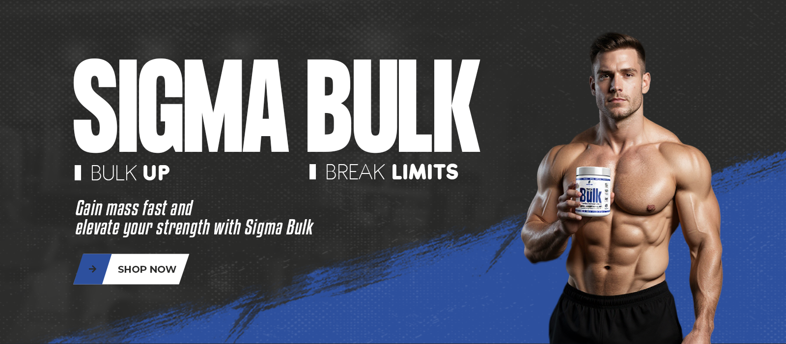 Sigma bulk website banner 700px