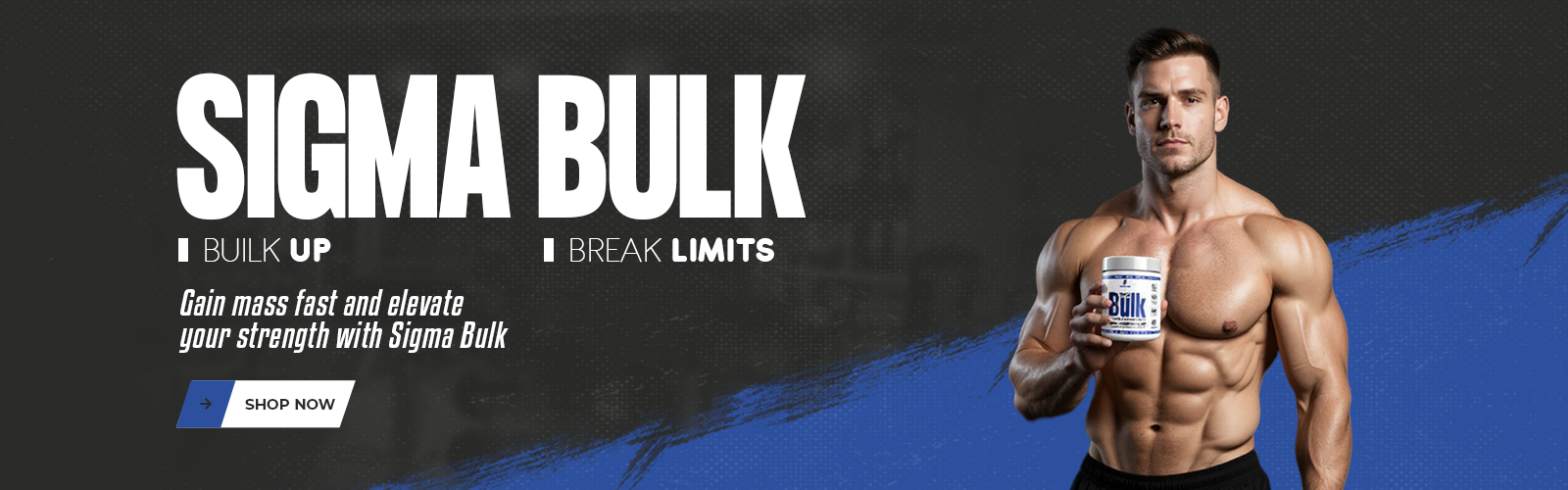 Sigma bulk website banner