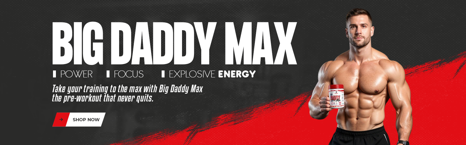 big daddy max website banner