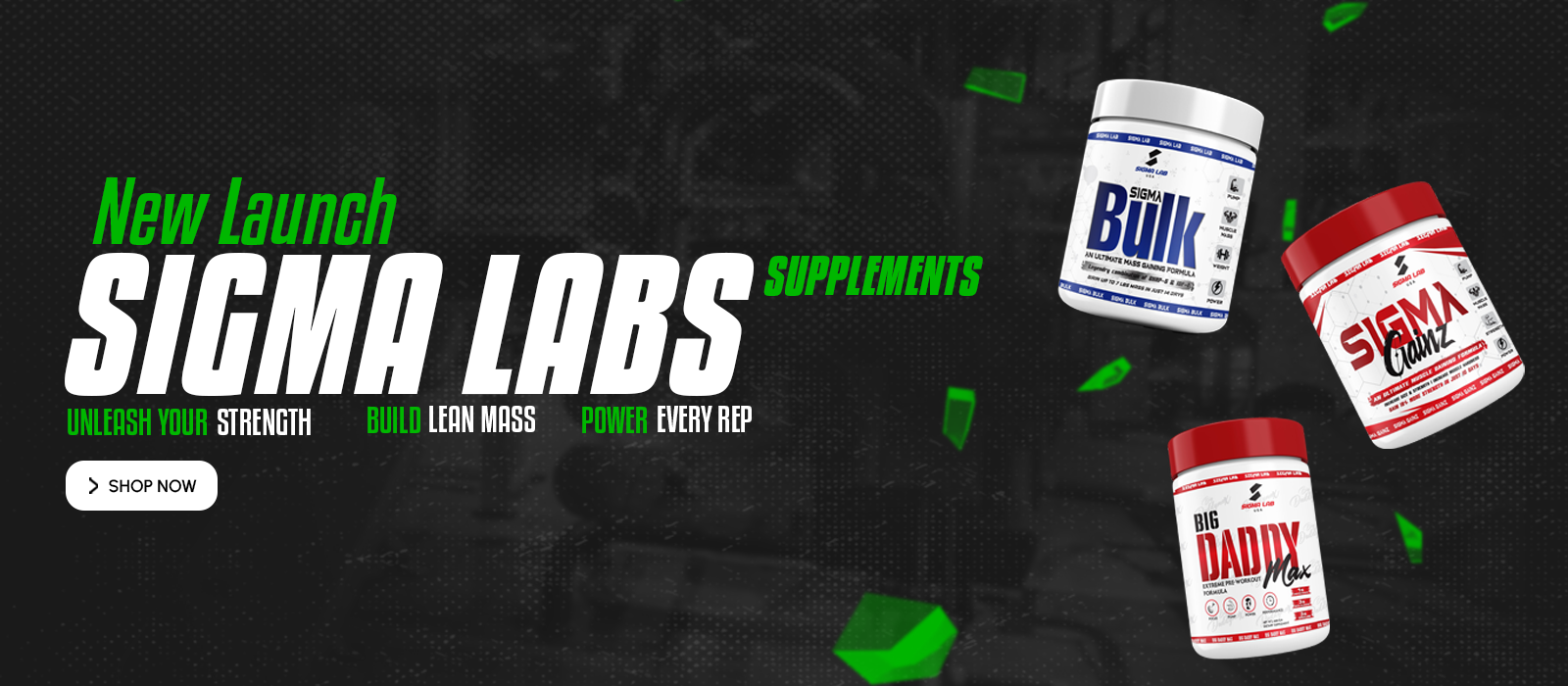 website banner sigma labs 700px_1 (2)